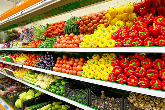fresh-organic-vegetables1a fresh-organic-vegetables1a